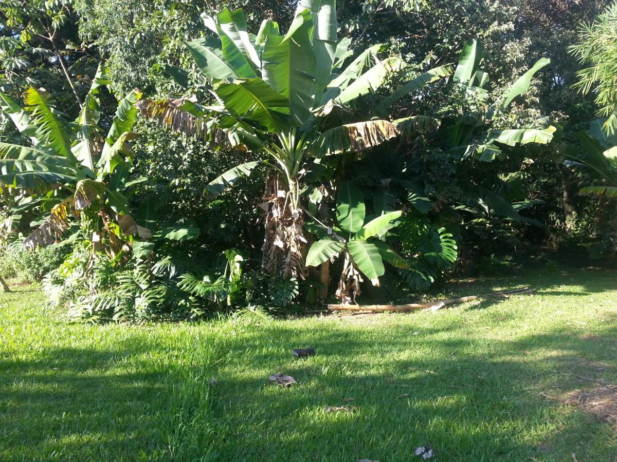 Hotel Los Amigos Puerto Iguazú Eksteriør bilde