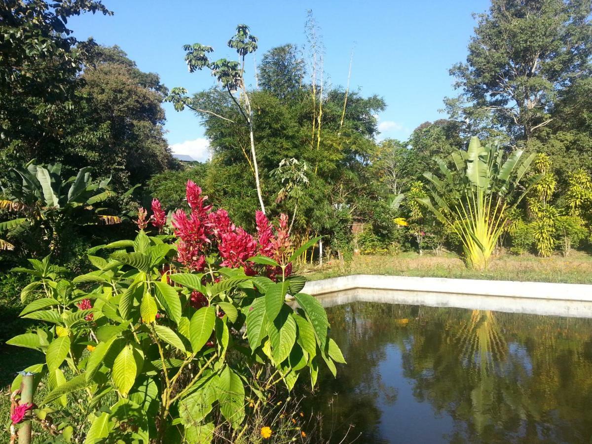 Hotel Los Amigos Puerto Iguazú Eksteriør bilde